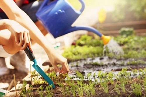 A gardener tending to a small outdoor vegetable patch in a residential garden, with young green seedlings sprouting in neatly aligned rows of rich, dark soil. In the background, a blue watering can is pouring water onto the plants, providing essential hydration. The garden features a mix of soil beds and surrounding greenery, including a lush hedge along the back boundary and a few small shrubs. The scene is bathed in natural sunlight, suggesting a clear, bright day, and the area appears well-maintained with defined borders around the planting beds. The gardenerâ€™s hands are visible, carefully adjusting or planting seedlings in the soil, demonstrating attentive care. This outdoor space is part of a suburban garden, reflecting typical landscaping and gardening practices in Wood Green, suitable for services offered by Lawn Mowing Wood Green, which specialises in gardening and outdoor maintenance.