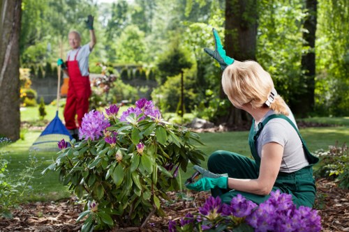 Operative preparing a lawn mower for safe use in a residential garden