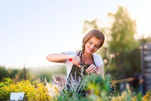 Selection of plants for Wood Green garden