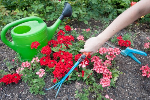 The image depicts a well-maintained garden bed featuring an array of vibrant red and pink flowering plants, surrounded by dark, rich soil. To the left, there is a bright green plastic watering can resting on the ground, indicative of garden maintenance activities. A person's arm, visible from the shoulder down, is actively using a small hand fork or cultivator with a red handle, tending to the soil near the flowers. The background shows lush green foliage and plants, suggesting an outdoor garden space in a residential setting within Wood Green or a similar area in London. The scene appears to be under diffuse natural daylight, with no harsh shadows, indicating overcast weather or a shaded section of the garden. The overall setting emphasizes careful gardening practices, including flower bed care and soil aeration, typical of outdoor maintenance services offered by Lawn Mowing Wood Green, focusing on garden tidy-up, flower bed upkeep, and general lawn and soft landscaping enhancements.