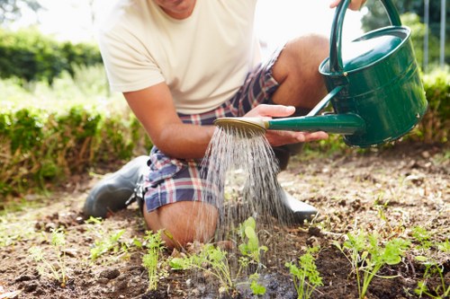 Gardener mowing a small front garden in Wood Green
