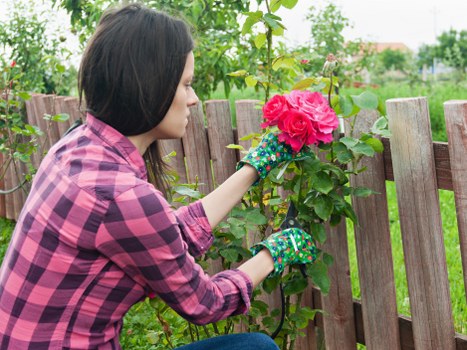 Essential Garden Maintenance Tools