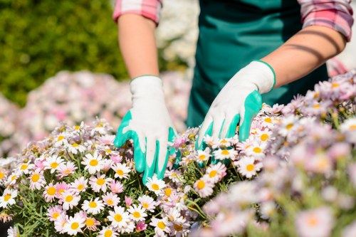 Gardener presenting a free written quote at a Wood Green property