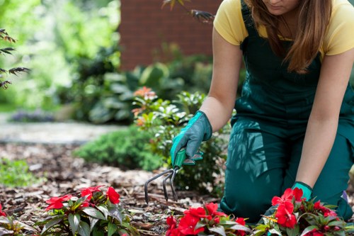 Seasonal Planting in Wood Green Garden