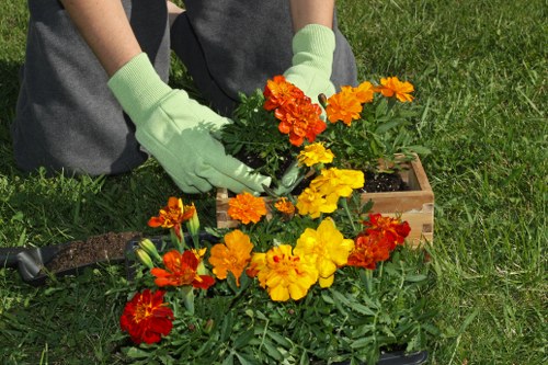 Eco-friendly lawn maintenance practices