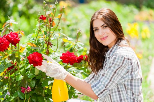 Healthy trees after expert pruning