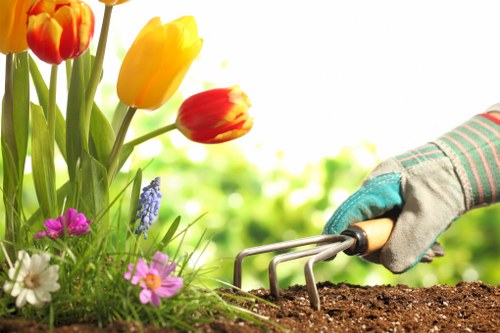 A close-up view of a garden bed in a residential outdoor space, showing a variety of blooming flowers including red and yellow tulips, white, pink, and purple blossoms, with lush green foliage. The soil is freshly tilled, dark, and moist, indicating recent planting or maintenance work. In the foreground, a gardener's hand wearing a gardening glove is using a hand rake to loosen or cultivate the soil. The background features a bright, sunlit garden area with a softly blurred greenery backdrop, suggesting a well-maintained, landscaped yard typical of homes in the Wood Green area. The scene highlights elements of detailed gardening and outdoor maintenance, relevant to professional lawn and garden care services such as those offered by Lawn Mowing Wood Green.