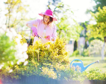 Climate considerations for Wood Green landscapes