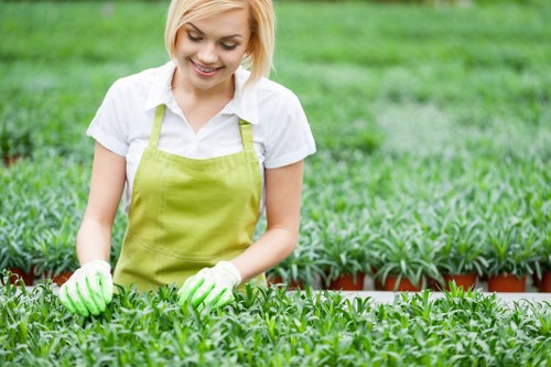 Clearing overgrown garden plants