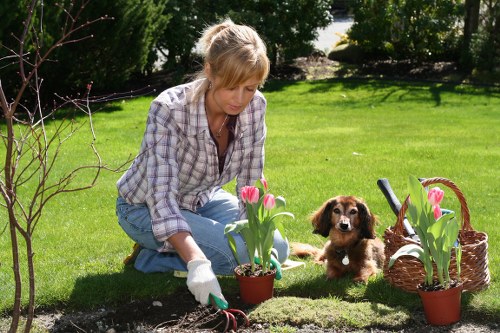 Eco-friendly hedge maintenance practices