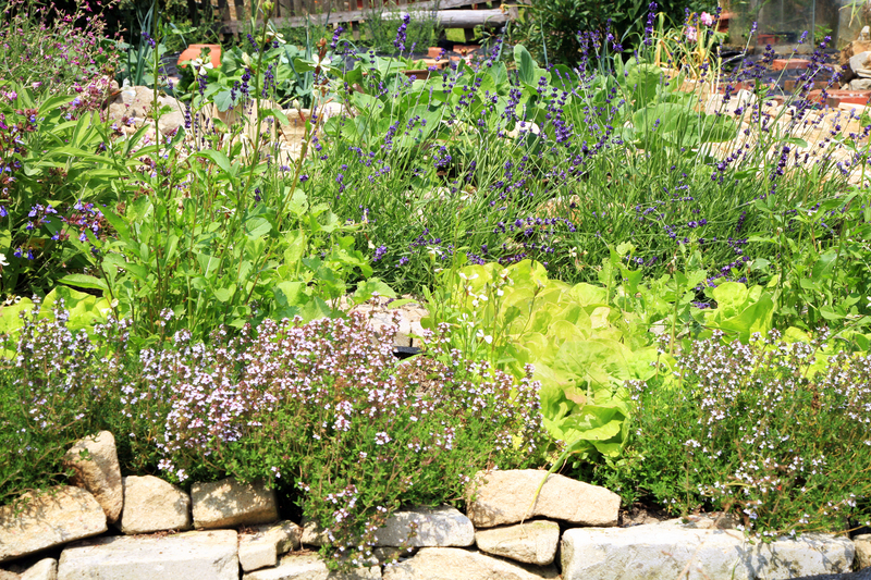 garden property