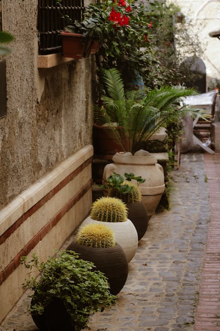 A narrow cobbled pathway in a small courtyard garden features a variety of potted plants and flowers alongside a textured stone wall. The pots are made of different materials, including white ceramic