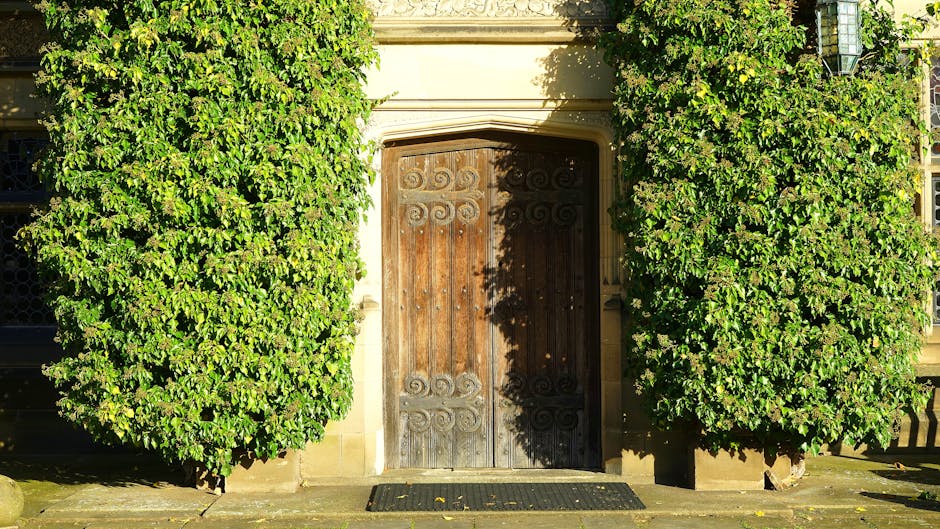 A wooden front door set within a stone porch opening, surrounded by two large, lush, green hedges with dense, glossy leaves. The hedges are neatly trimmed and frame the door symmetrically, creating a 